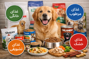 غذای سگ